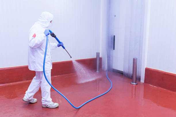 Best Paint Preparation  in Brewster, NY